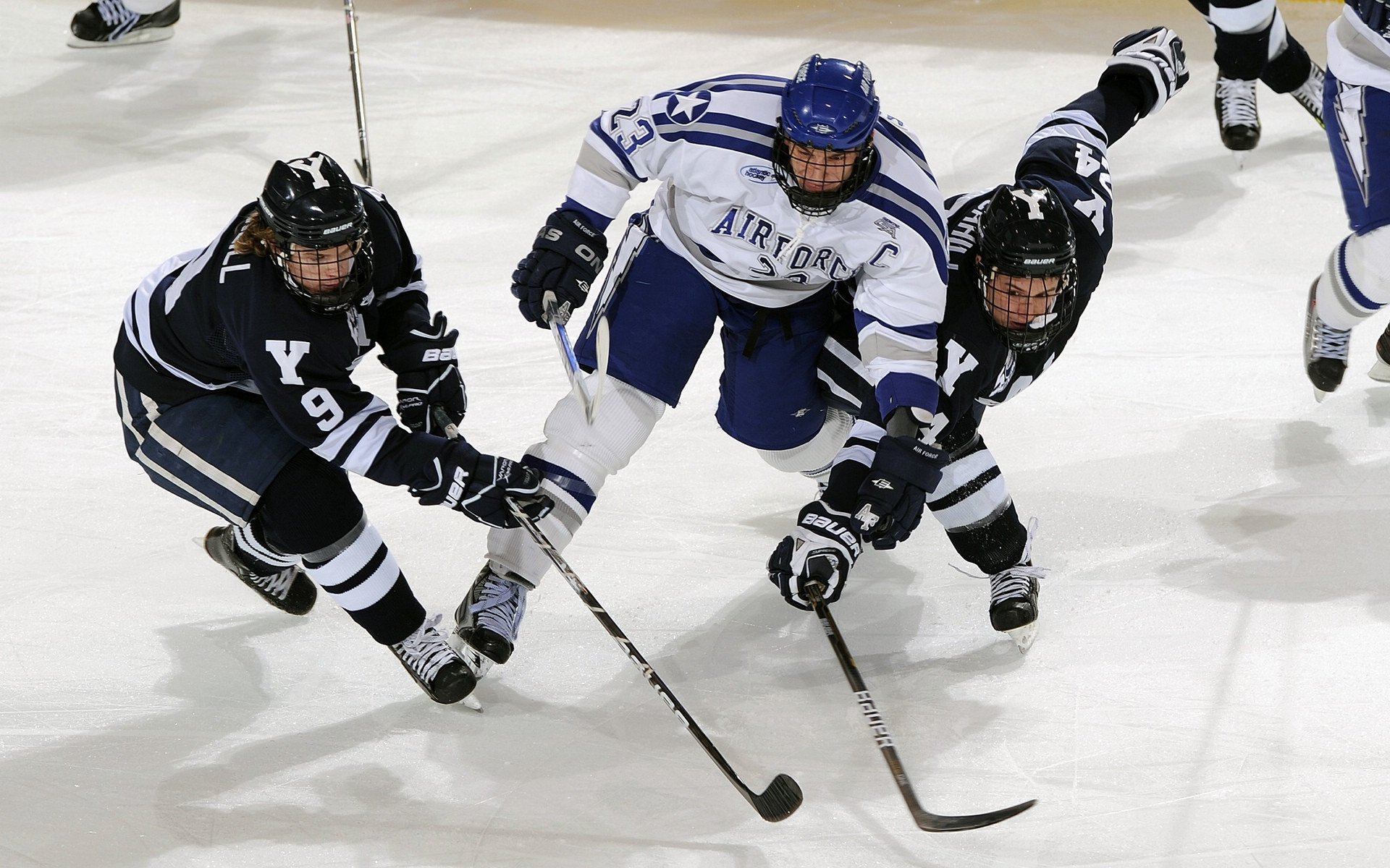 LCS战队备战MSI国际邀请赛，lcs赛区在哪里打比赛